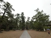 出雲大社の写真・動画_image_377400