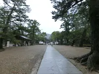 出雲大社の写真・動画_image_377402