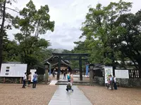 出雲大社の写真・動画_image_377407