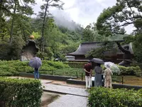 出雲大社の写真・動画_image_377409