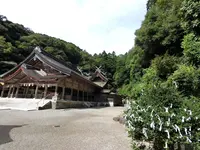 美保神社の写真・動画_image_377422