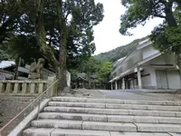 美保神社の写真・動画_image_377428