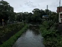 東海館の写真・動画_image_377672
