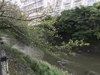東海館の写真・動画_image_377733