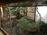 伊東園ホテル 松川館の写真・動画_image_377898