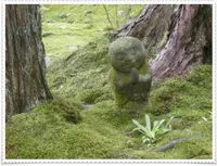 三千院の写真・動画_image_377903