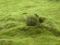三千院の写真・動画_image_377904