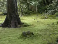 三千院の写真・動画_image_377905