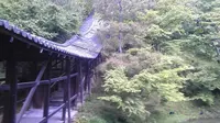 高台寺の写真・動画_image_377919
