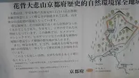 大悲山峰定寺の写真・動画_image_377958
