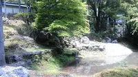 常照皇寺の写真・動画_image_377961