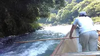 保津川下りの写真・動画_image_377965