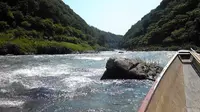 保津川下りの写真・動画_image_377967