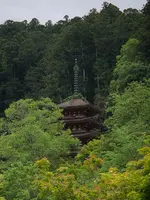 長谷寺の写真・動画_image_377979