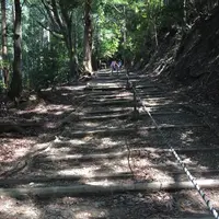 上醍醐寺の写真・動画_image_378032