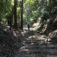 上醍醐寺の写真・動画_image_378033