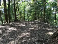 上醍醐寺の写真・動画_image_378035