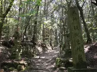 上醍醐寺の写真・動画_image_378036