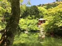 醍醐寺の写真・動画_image_378041