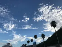 道の駅 伊東マリンタウンの写真・動画_image_378216