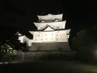 小田原城の写真・動画_image_378234