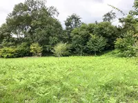 下町公園の写真・動画_image_378394