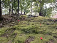 城南宮の写真・動画_image_378712