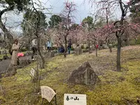 城南宮の写真・動画_image_378718