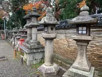石清水八幡宮の写真・動画_image_378723
