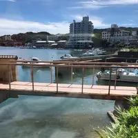 胡蝶蘭の写真・動画_image_378845