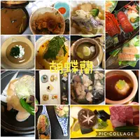 胡蝶蘭の写真・動画_image_378846