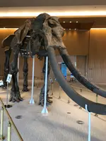 MieMu 三重県総合博物館の写真・動画_image_378851