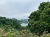 今治市伊東豊雄 建築ミュージアムの写真・動画_image_379087