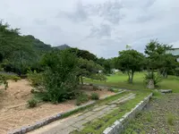 大三島藤公園の写真・動画_image_379146