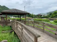 大三島藤公園の写真・動画_image_379148