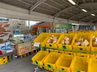 多々羅しまなみ公園の写真・動画_image_379157