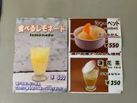 未来心の丘の写真・動画_image_379549
