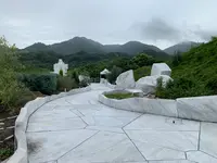 未来心の丘の写真・動画_image_379562