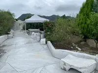 未来心の丘の写真・動画_image_379565