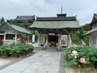 耕三寺・耕三寺博物館の写真・動画_image_379573