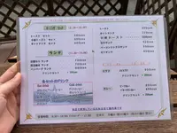 菜のはなの写真・動画_image_379600
