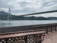 菜のはなの写真・動画_image_379602