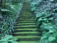 報国寺（竹寺）の写真・動画_image_379776