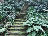 報国寺（竹寺）の写真・動画_image_379782