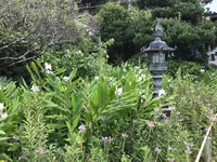 報国寺（竹寺）の写真・動画_image_379805