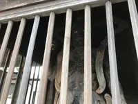 報国寺（竹寺）の写真・動画_image_379830
