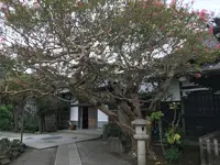 報国寺（竹寺）の写真・動画_image_379905