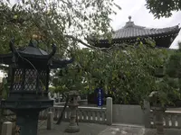 報国寺（竹寺）の写真・動画_image_379907
