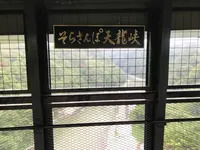 天竜峡大橋の写真・動画_image_380168