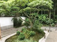 報国寺（竹寺）の写真・動画_image_380270